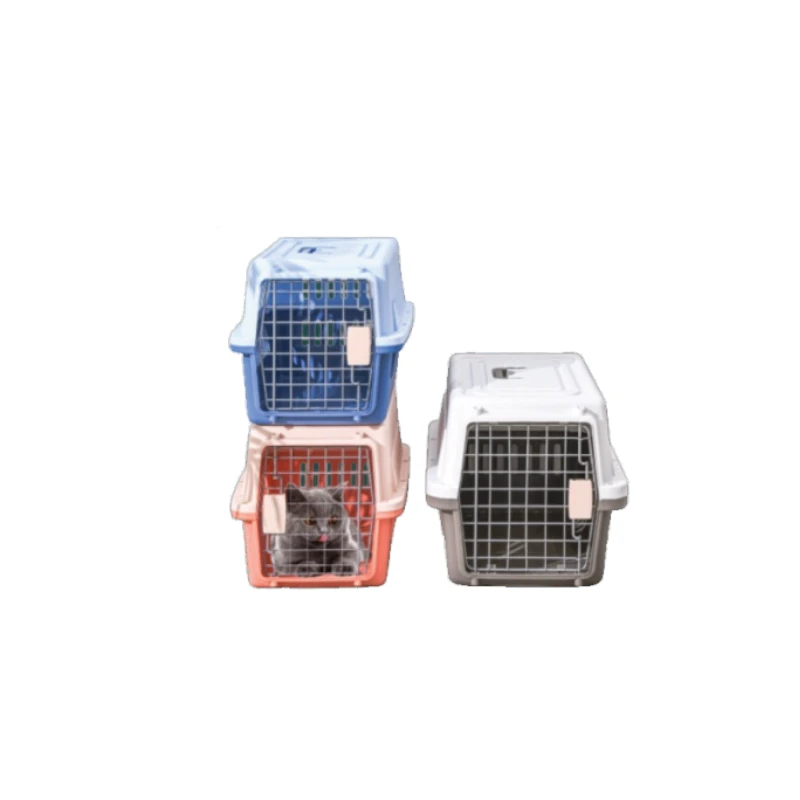 Kennel — Felinos